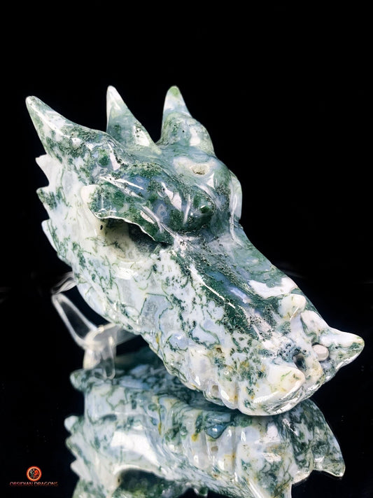 Crâne de Dragon en Agate Mousse - Puissance et Équilibre | obsidian dragons