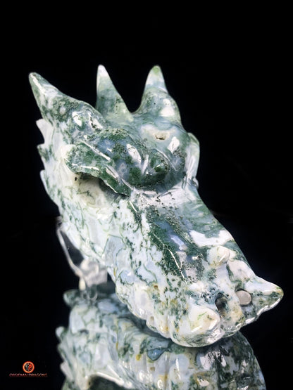 Crâne de Dragon en Agate Mousse - Puissance et Équilibre | obsidian dragons