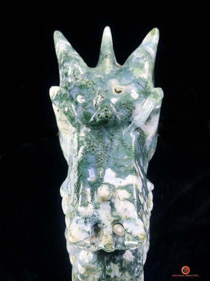 Crâne de Dragon en Agate Mousse - Puissance et Équilibre | obsidian dragons