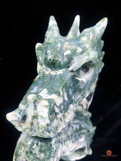 Crâne de Dragon en Agate Mousse - Puissance et Équilibre | obsidian dragons