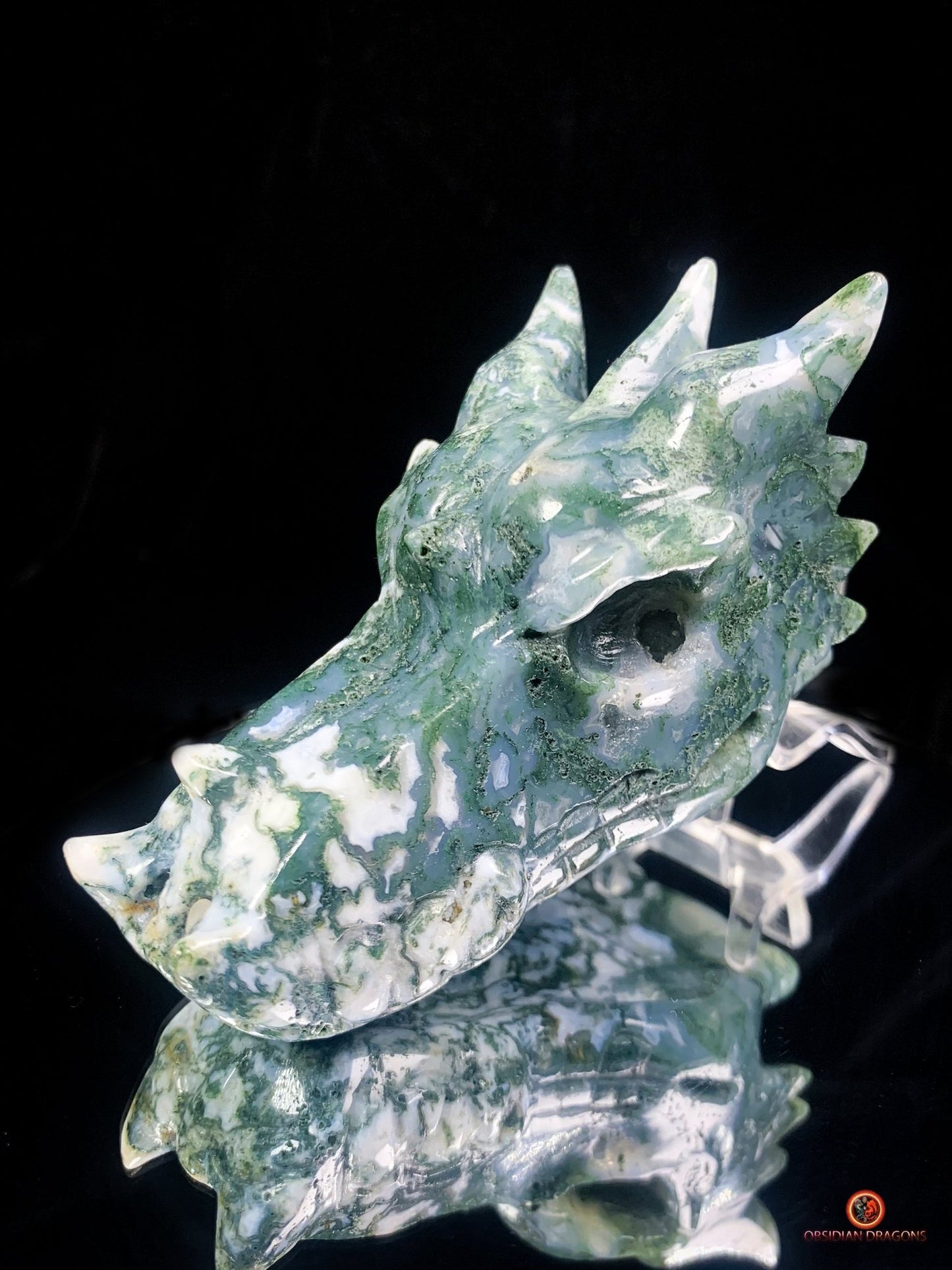 Crâne de Dragon en Agate Mousse - Puissance et Équilibre | obsidian dragons