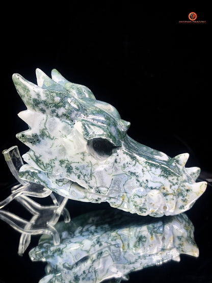Crâne de Dragon en Agate Mousse - Puissance et Équilibre | obsidian dragons