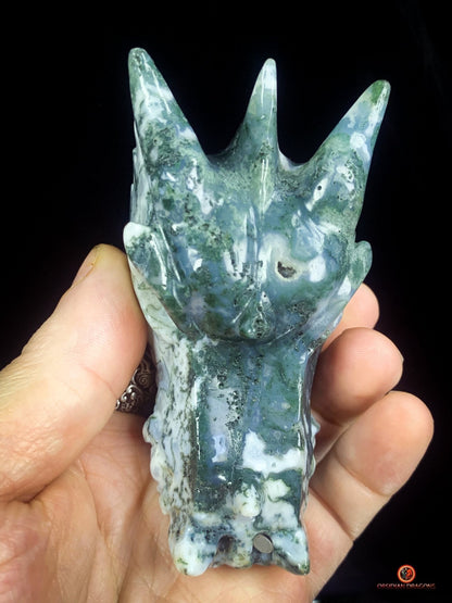 Crâne de Dragon en Agate Mousse - Puissance et Équilibre | obsidian dragons