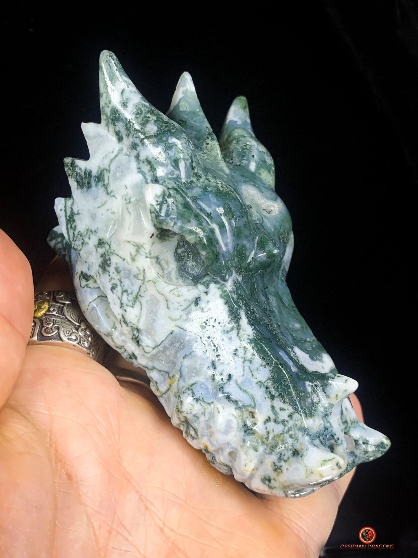 Crâne de Dragon en Agate Mousse - Puissance et Équilibre | obsidian dragons