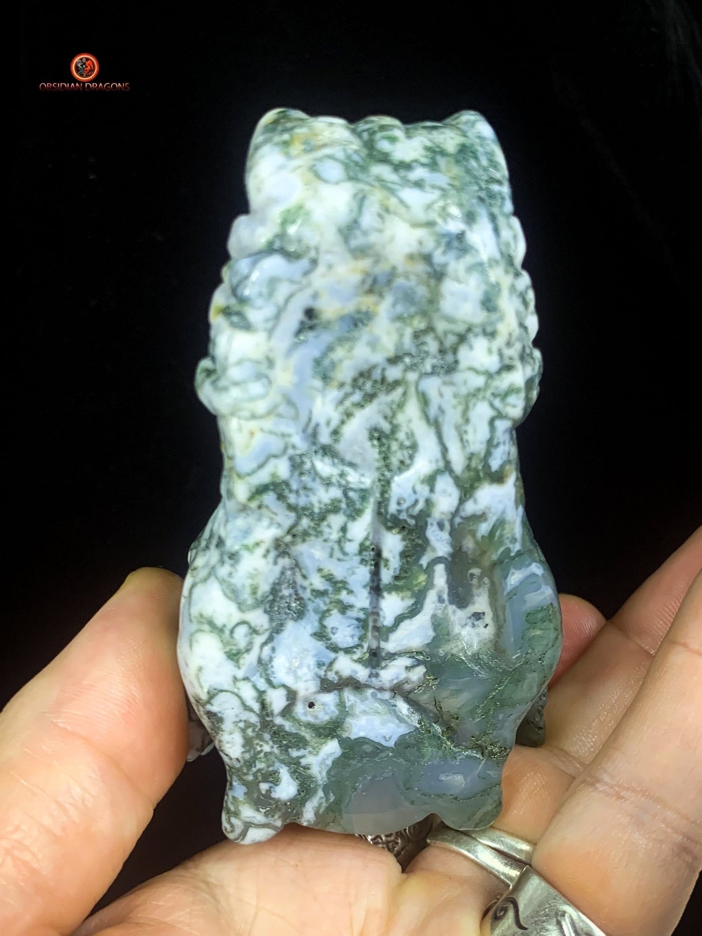 Crâne de Dragon en Agate Mousse - Puissance et Équilibre - obsidian dragons
