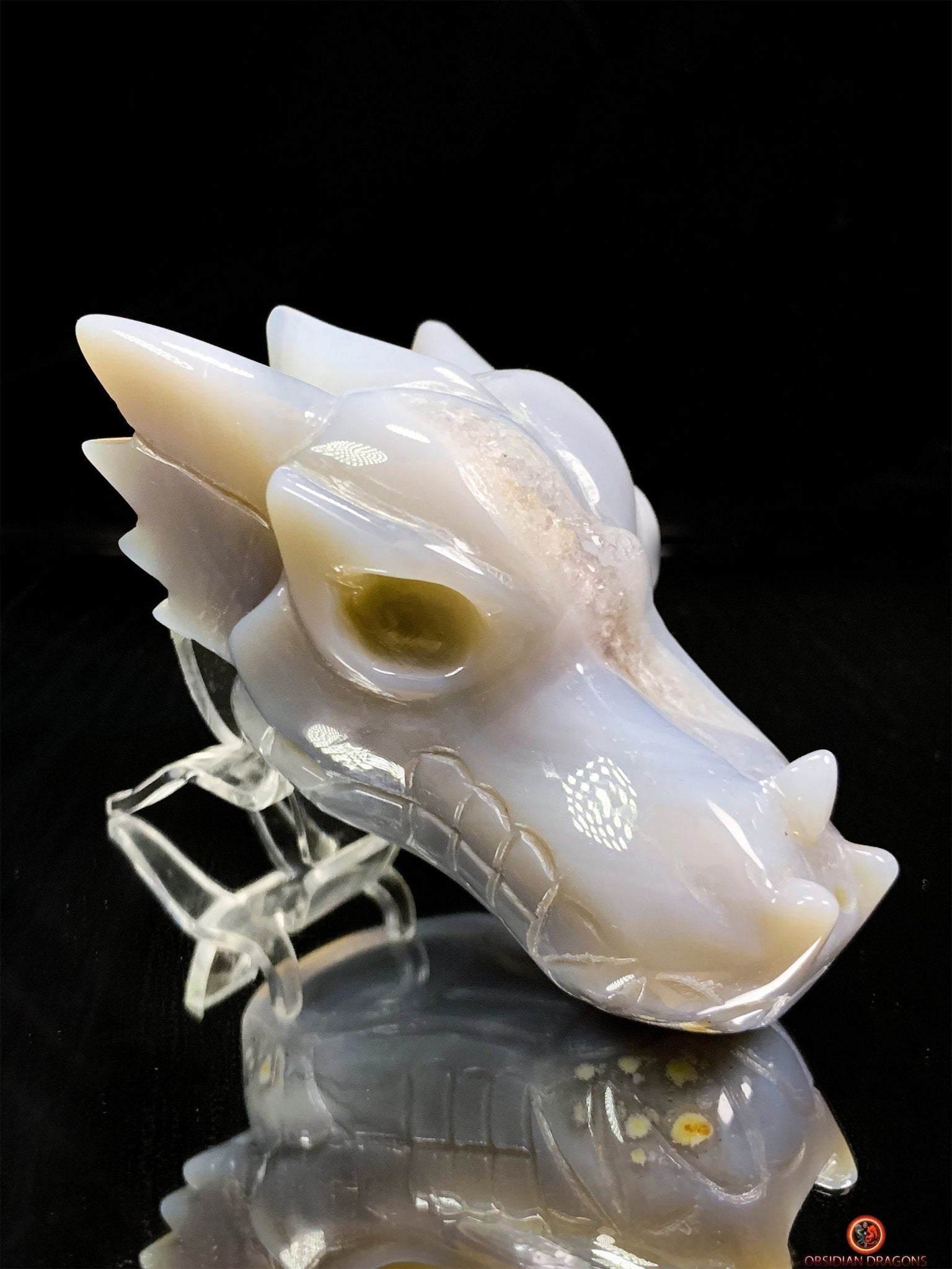 Crâne de Dragon en Géode de Quartz dans Agate – Ancrage et Lumière | obsidian dragons