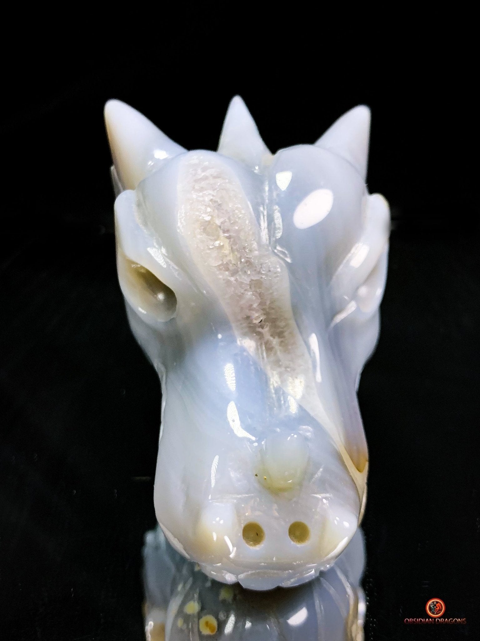 Crâne de Dragon en Géode de Quartz dans Agate – Ancrage et Lumière | obsidian dragons