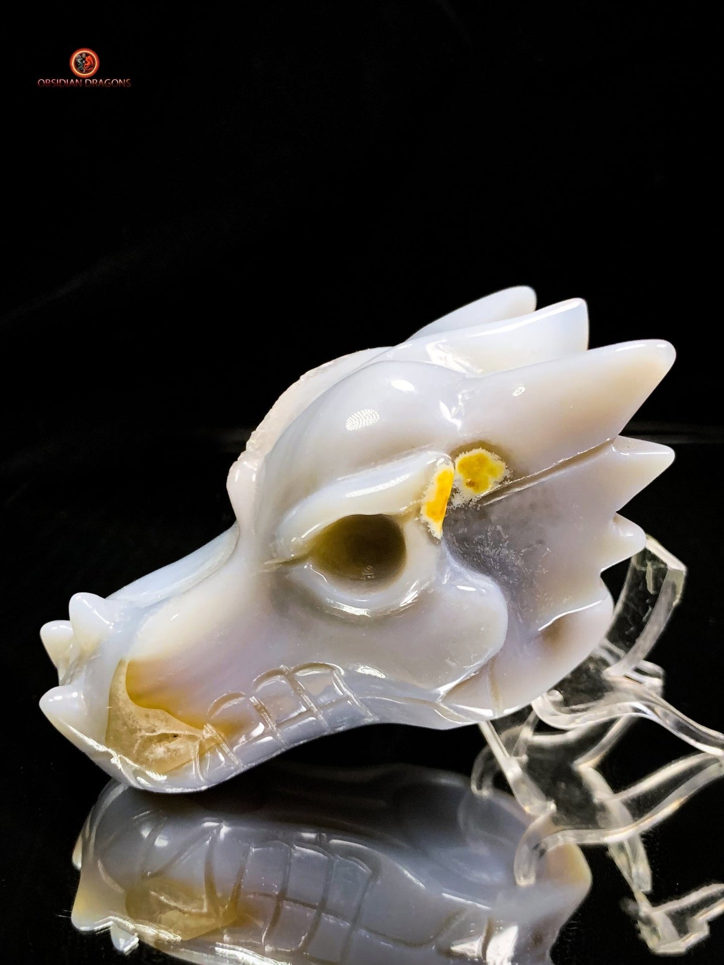 Crâne de Dragon en Géode de Quartz dans Agate – Ancrage et Lumière | obsidian dragons