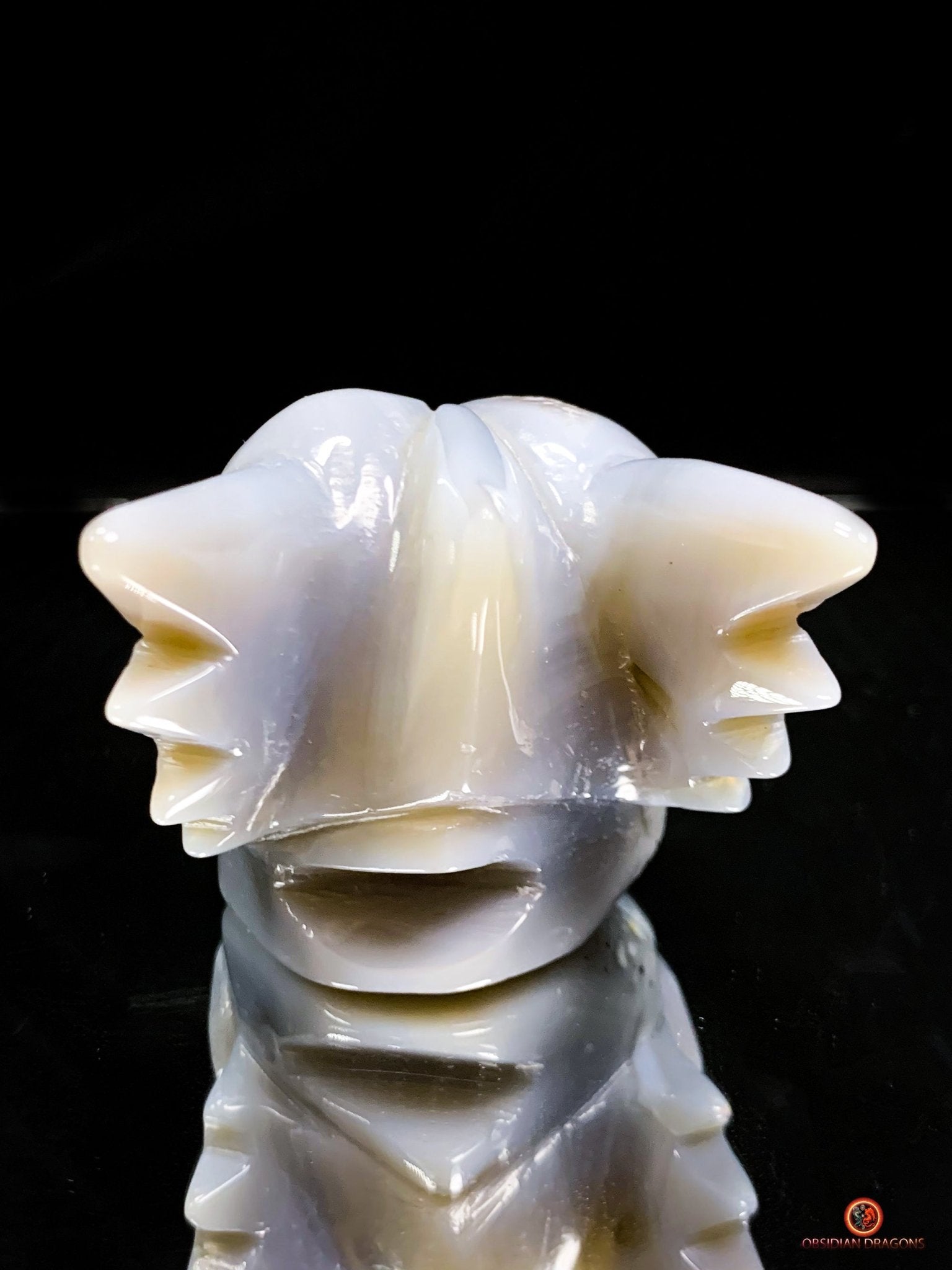 Crâne de Dragon en Géode de Quartz dans Agate – Ancrage et Lumière | obsidian dragons