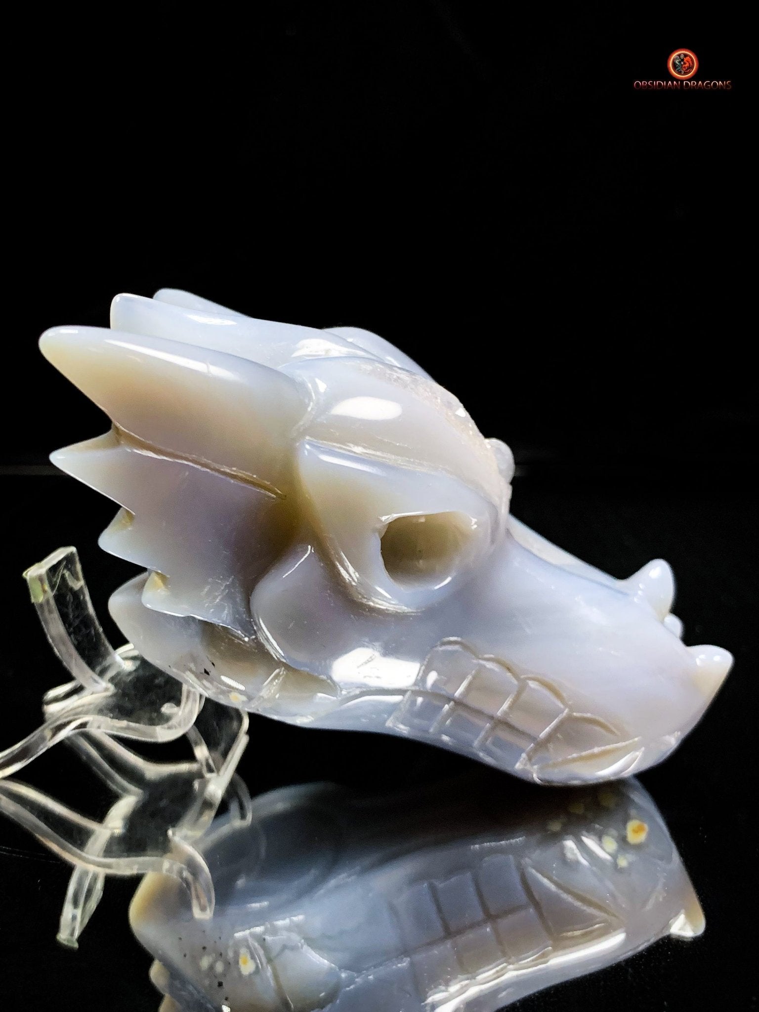 Crâne de Dragon en Géode de Quartz dans Agate – Ancrage et Lumière | obsidian dragons