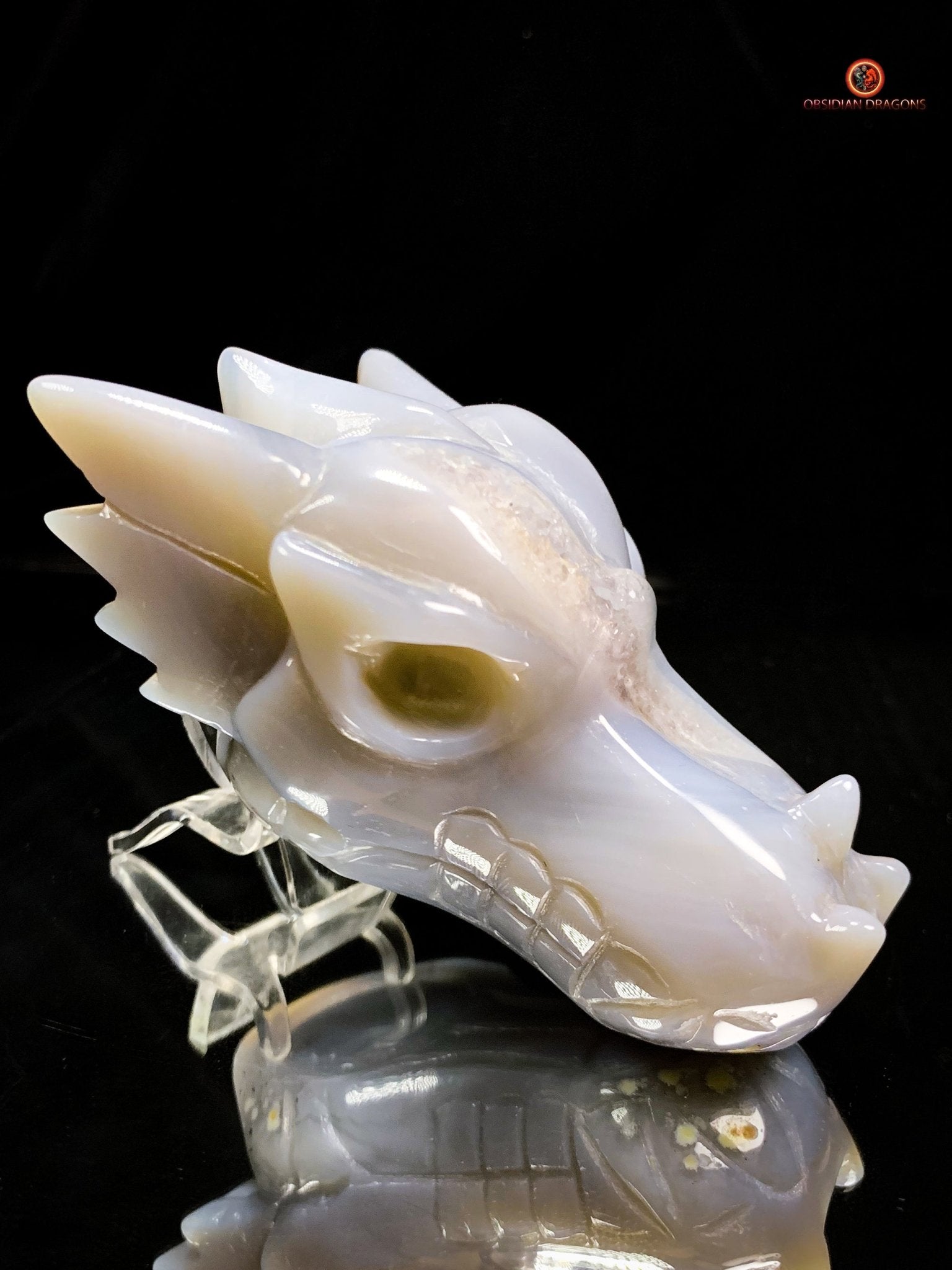 Crâne de Dragon en Géode de Quartz dans Agate – Ancrage et Lumière - obsidian dragons