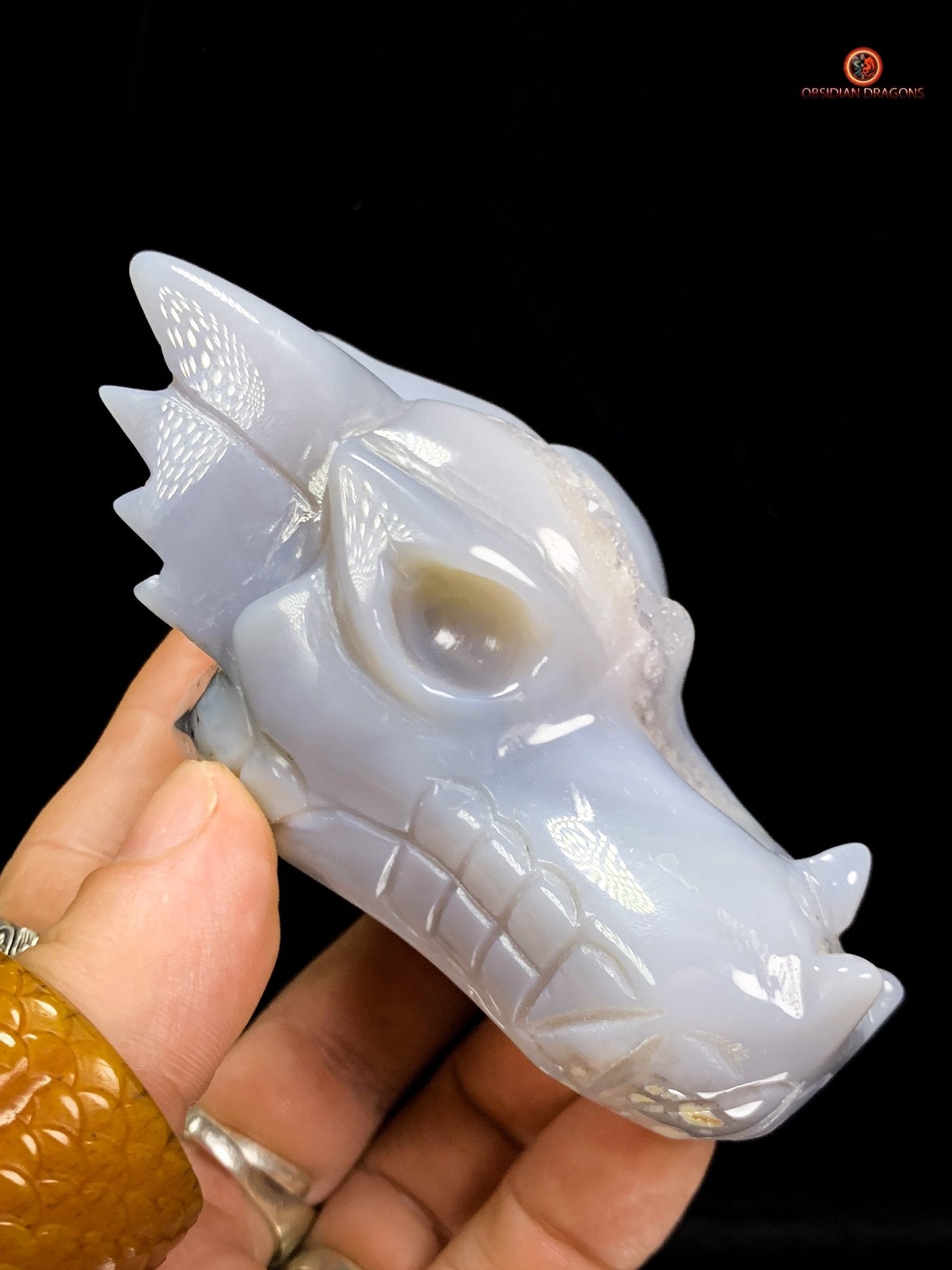 Crâne de Dragon en Géode de Quartz dans Agate – Ancrage et Lumière - obsidian dragons