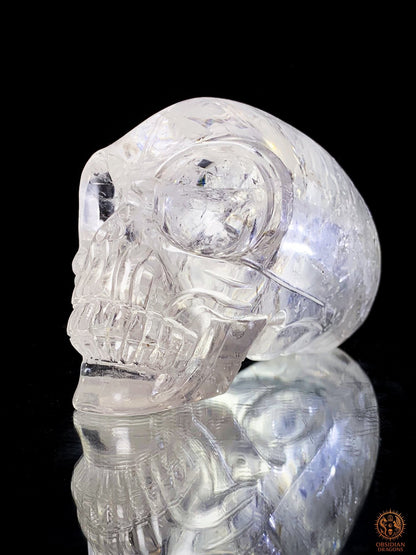 Crâne de Cristal Alien en Cristal de Roche – Éclat Stellaire | obsidian dragons