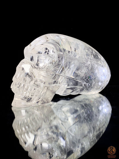 Crâne de Cristal Alien en Cristal de Roche – Éclat Stellaire | obsidian dragons