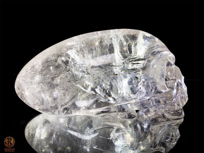 Crâne de Cristal Alien en Cristal de Roche – Éclat Stellaire | obsidian dragons