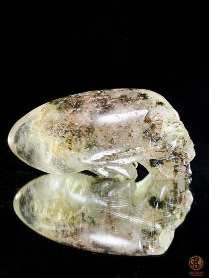 Crâne de Cristal Alien en Quartz Lodolite – Piliers Cosmiques | obsidian dragons