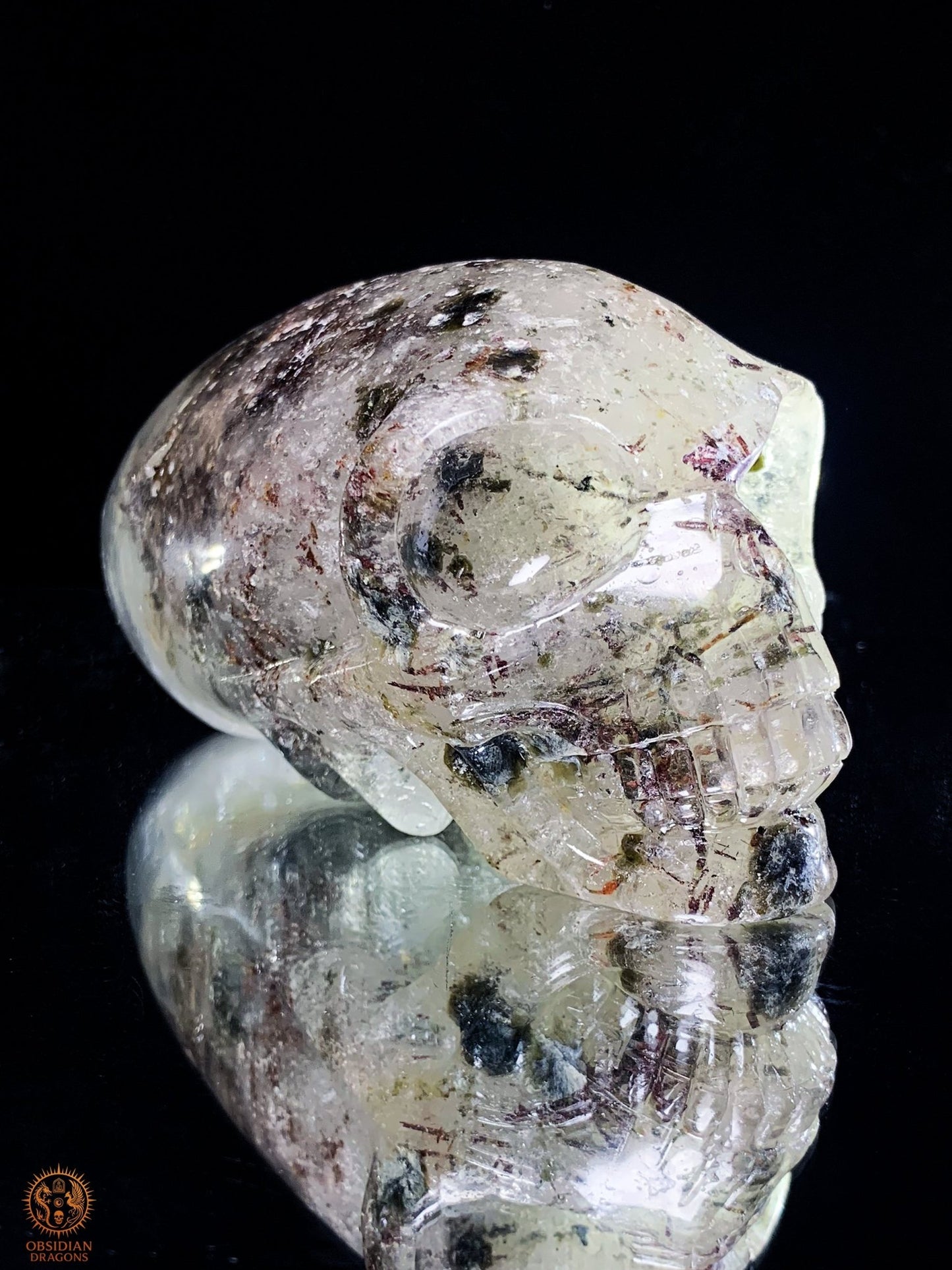 Crâne de Cristal Alien en Quartz Lodolite – Piliers Cosmiques | obsidian dragons