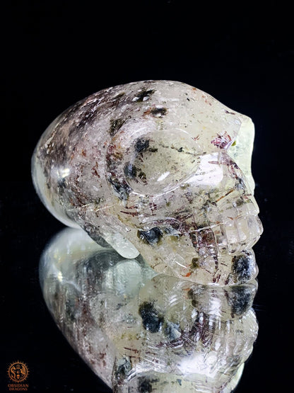 Crâne de Cristal Alien en Quartz Lodolite – Piliers Cosmiques | obsidian dragons