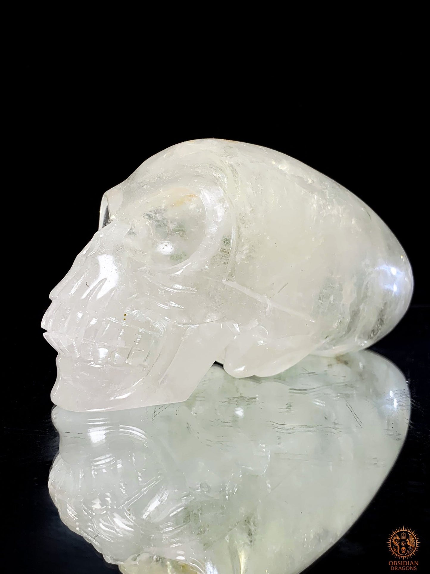 Crâne de Cristal Alien en Quartz Lodolite – Reflets Cosmiques | obsidian dragons