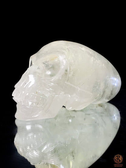Crâne de Cristal Alien en Quartz Lodolite – Reflets Cosmiques | obsidian dragons