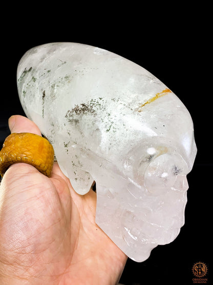 Crâne de Cristal Alien en Quartz Lodolite – Reflets Cosmiques | obsidian dragons