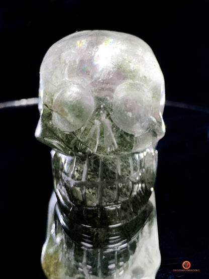 Crâne de cristal allongé - Quartz chlorite - Protection | obsidian dragons