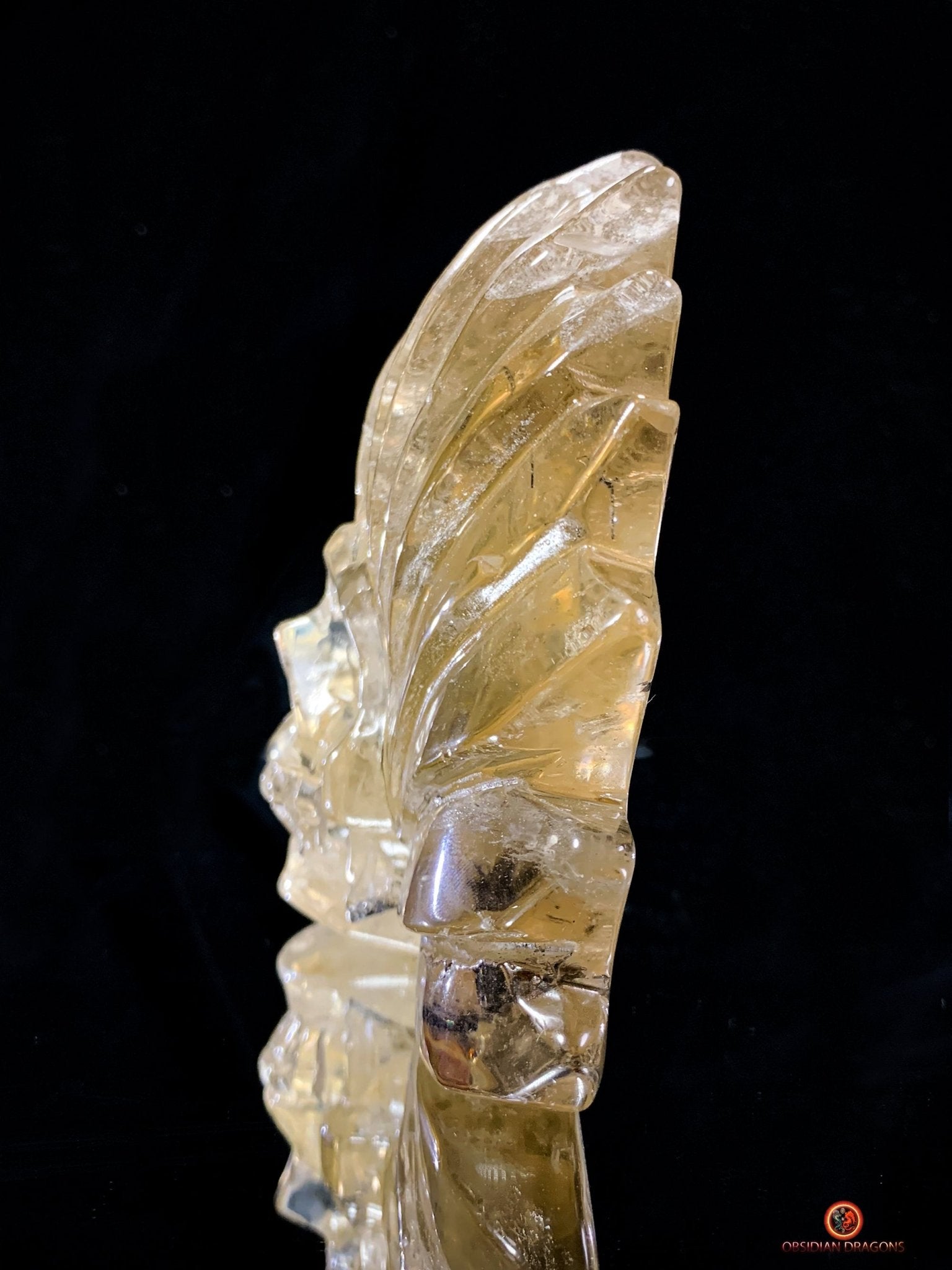 Crâne de Cristal Chamane - Quartz Fumé à Tourmaline Noire - obsidian dragons