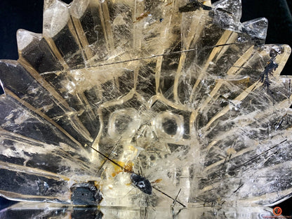 Crâne de Cristal Chamane - Quartz Fumé à Tourmaline Noire | obsidian dragons