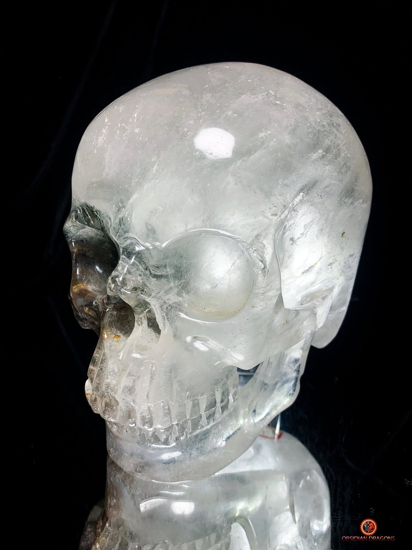 Crâne de Cristal Colossal en Quartz Lodolite – Exceptionnel | obsidian dragons
