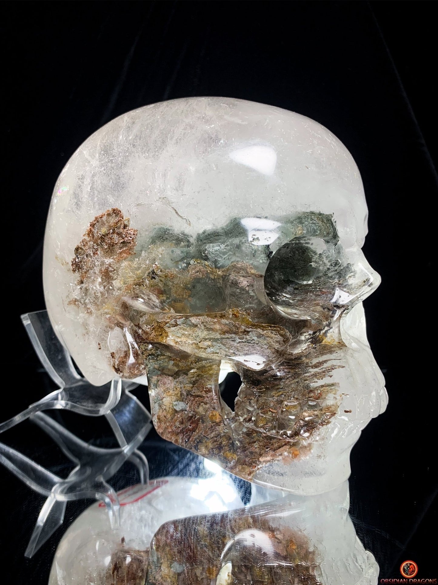 Crâne de Cristal Colossal en Quartz Lodolite – Exceptionnel | obsidian dragons
