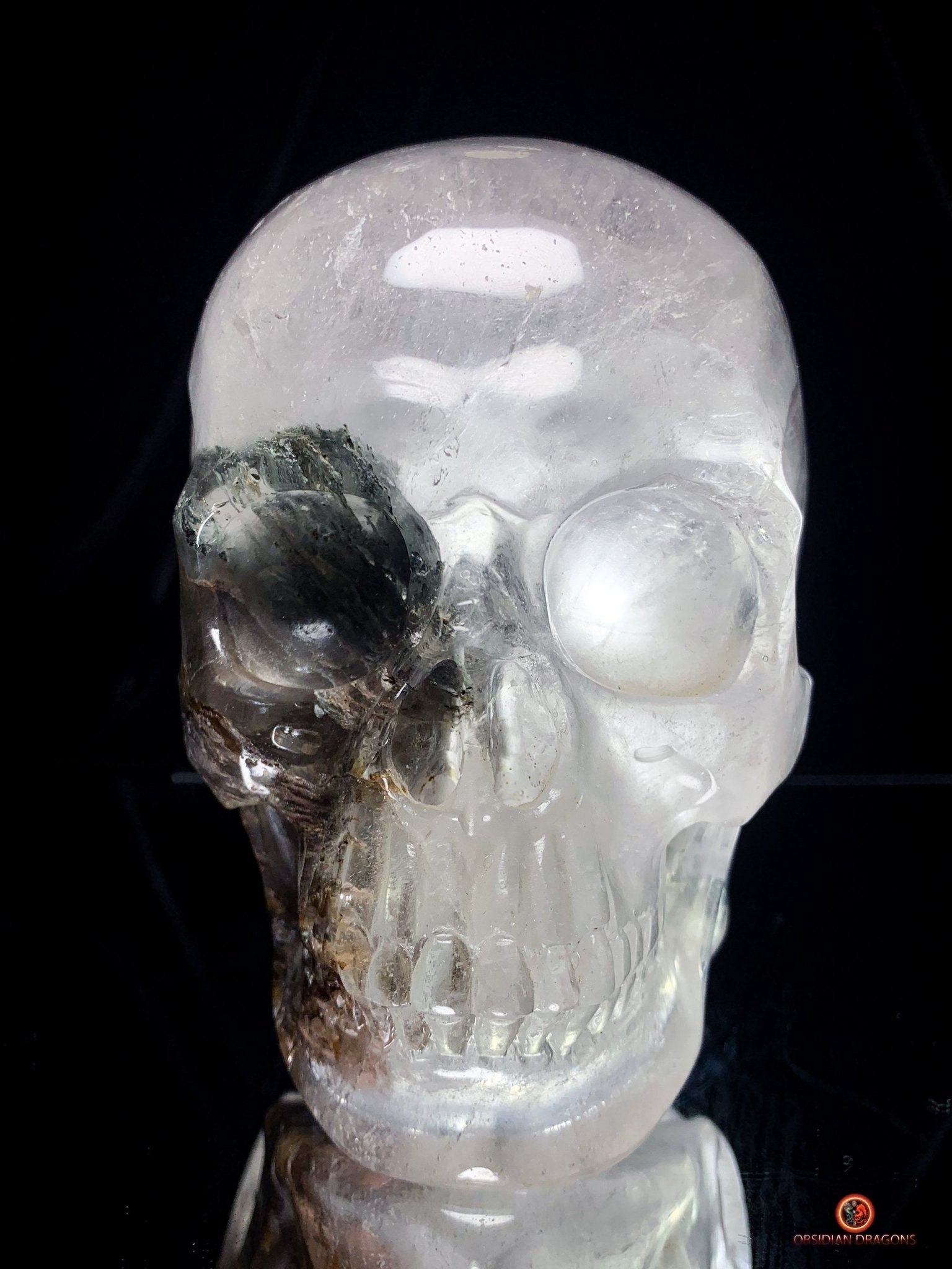 Crâne de Cristal Colossal en Quartz Lodolite – Exceptionnel | obsidian dragons
