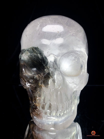 Crâne de Cristal Colossal en Quartz Lodolite – Exceptionnel | obsidian dragons