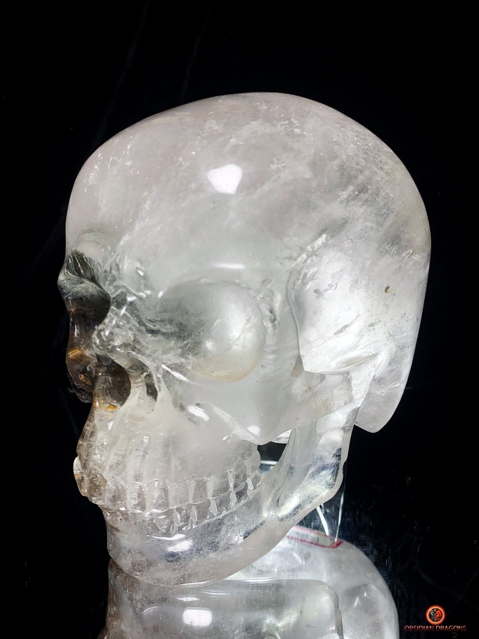 Crâne de Cristal Colossal en Quartz Lodolite – Exceptionnel | obsidian dragons