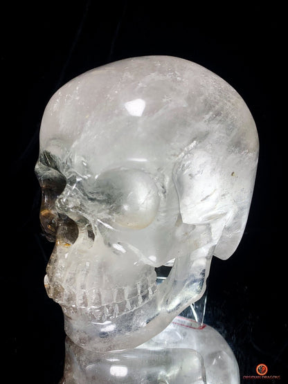 Crâne de Cristal Colossal en Quartz Lodolite – Exceptionnel | obsidian dragons