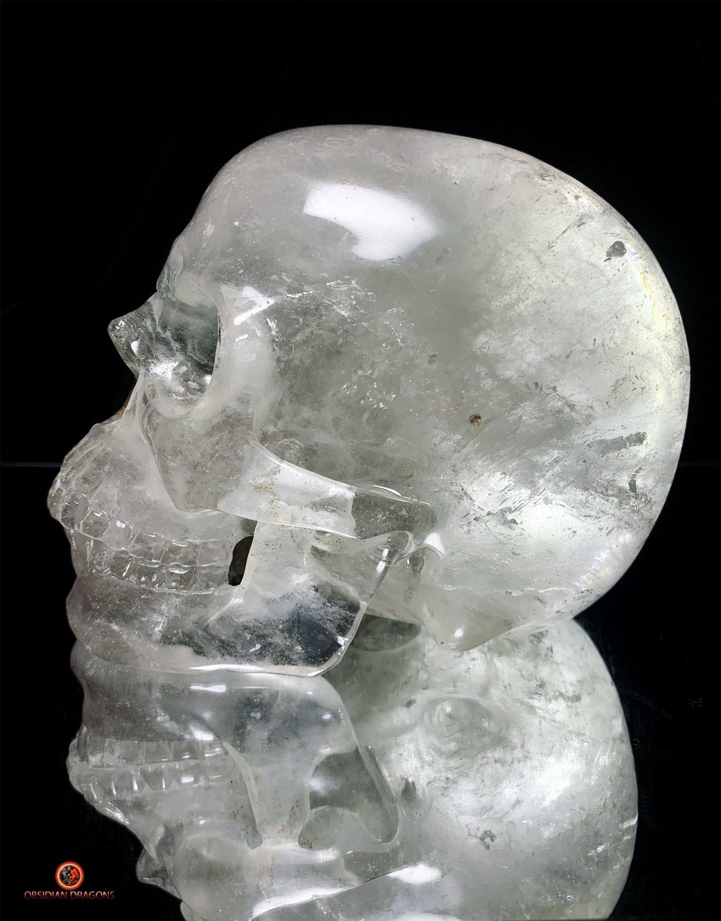 Crâne de Cristal Colossal en Quartz Lodolite – Exceptionnel | obsidian dragons