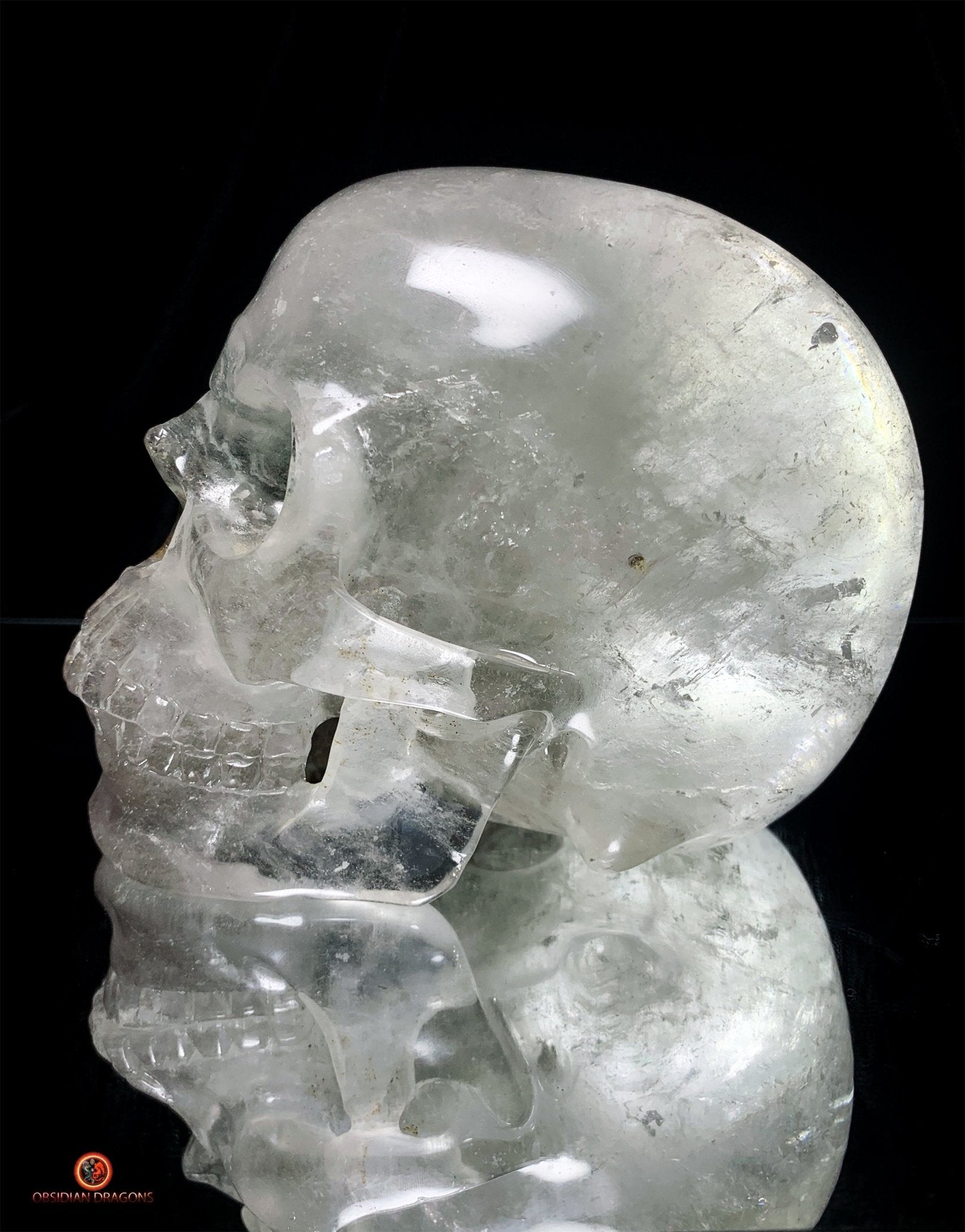 Crâne de Cristal Colossal en Quartz Lodolite – Exceptionnel | obsidian dragons