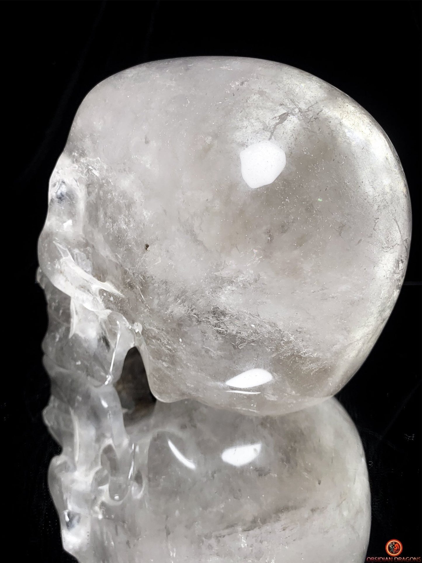 Crâne de Cristal Colossal en Quartz Lodolite – Exceptionnel | obsidian dragons