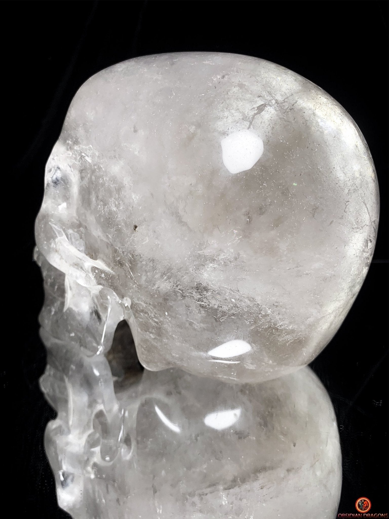Crâne de Cristal Colossal en Quartz Lodolite – Exceptionnel | obsidian dragons