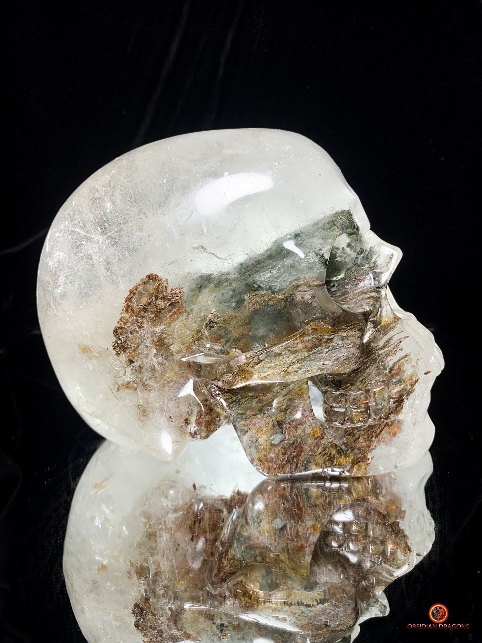 Crâne de Cristal Colossal en Quartz Lodolite – Exceptionnel - obsidian dragons