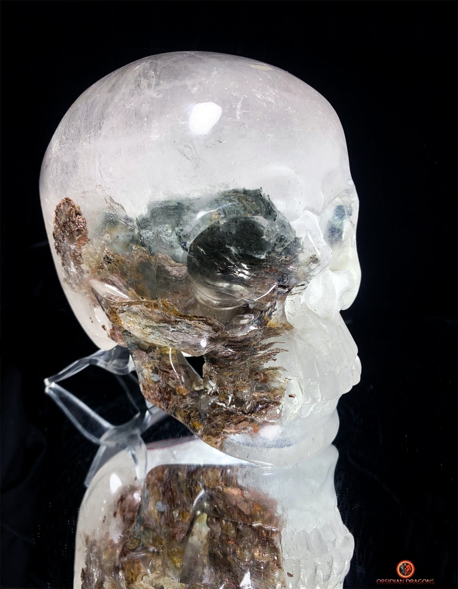 Crâne de Cristal Colossal en Quartz Lodolite – Exceptionnel - obsidian dragons