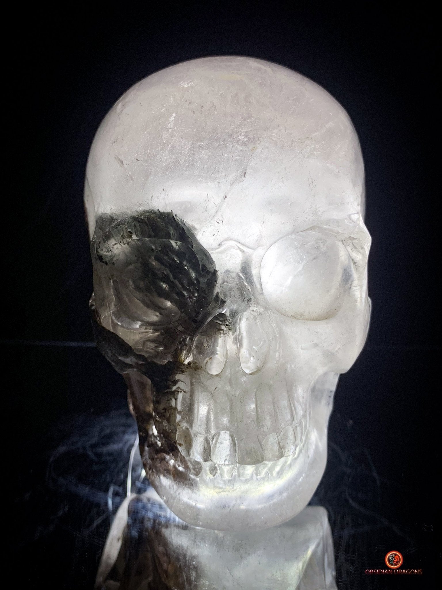Crâne de Cristal Colossal en Quartz Lodolite – Exceptionnel - obsidian dragons