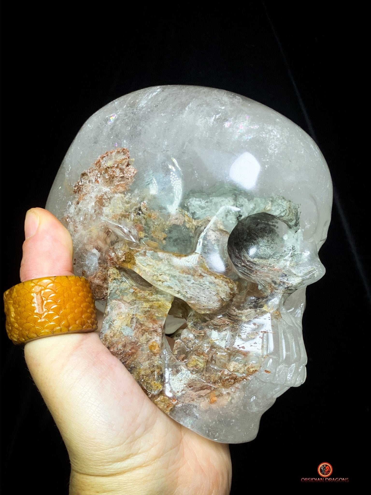 Crâne de Cristal Colossal en Quartz Lodolite – Exceptionnel | obsidian dragons