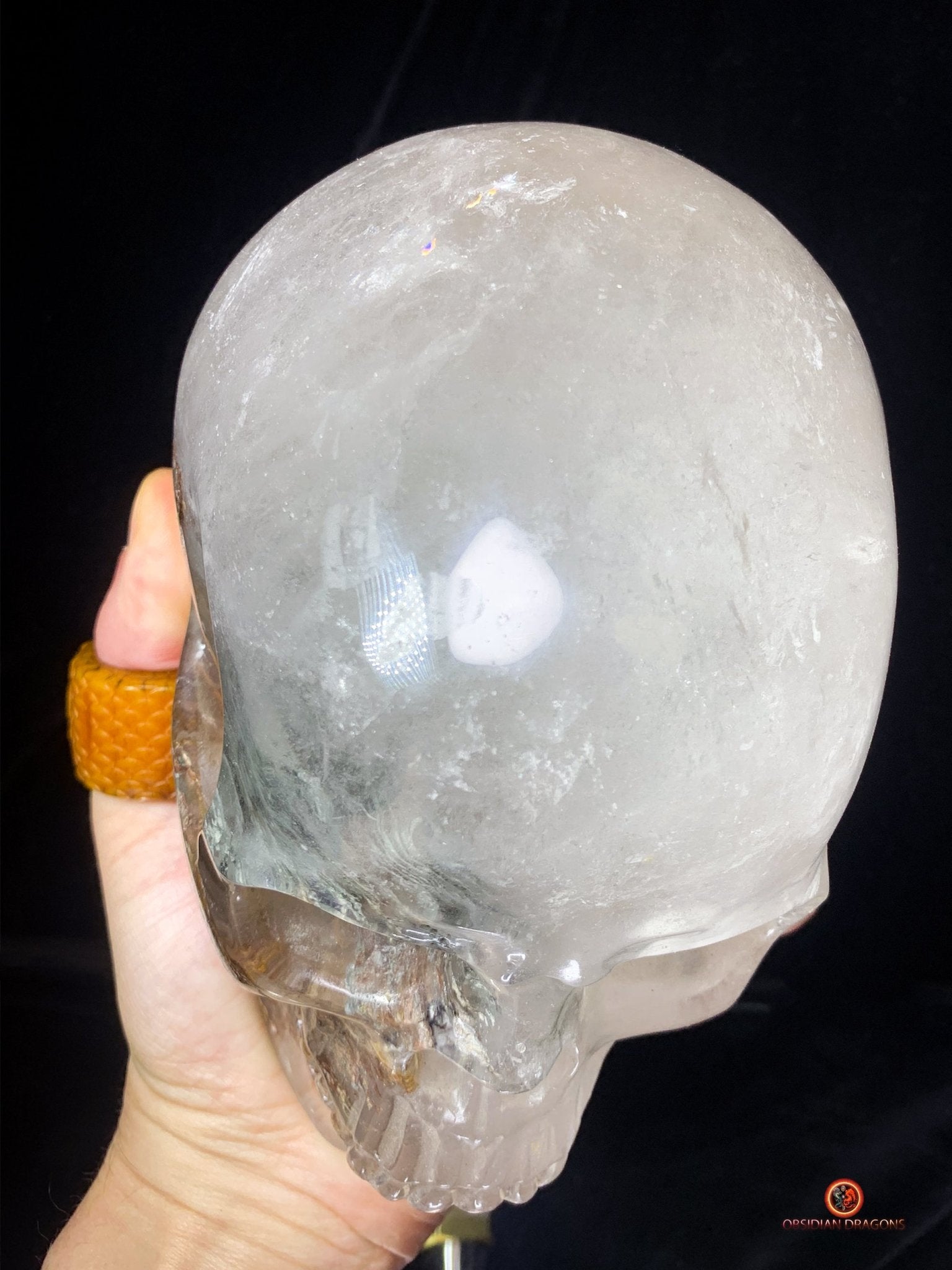 Crâne de Cristal Colossal en Quartz Lodolite – Exceptionnel - obsidian dragons