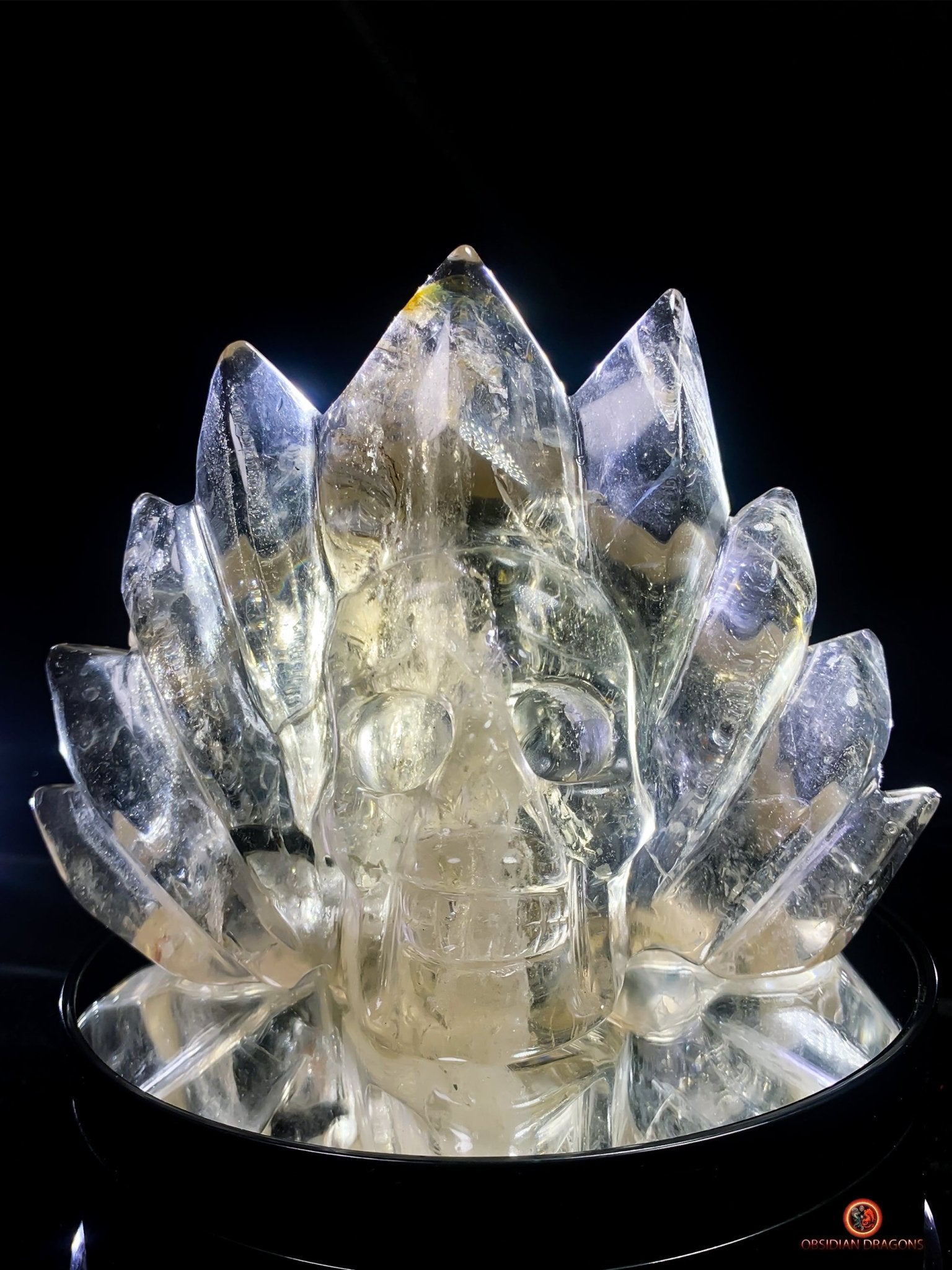 Crâne de Cristal Couronné - Cristal de Roche Naturel | obsidian dragons