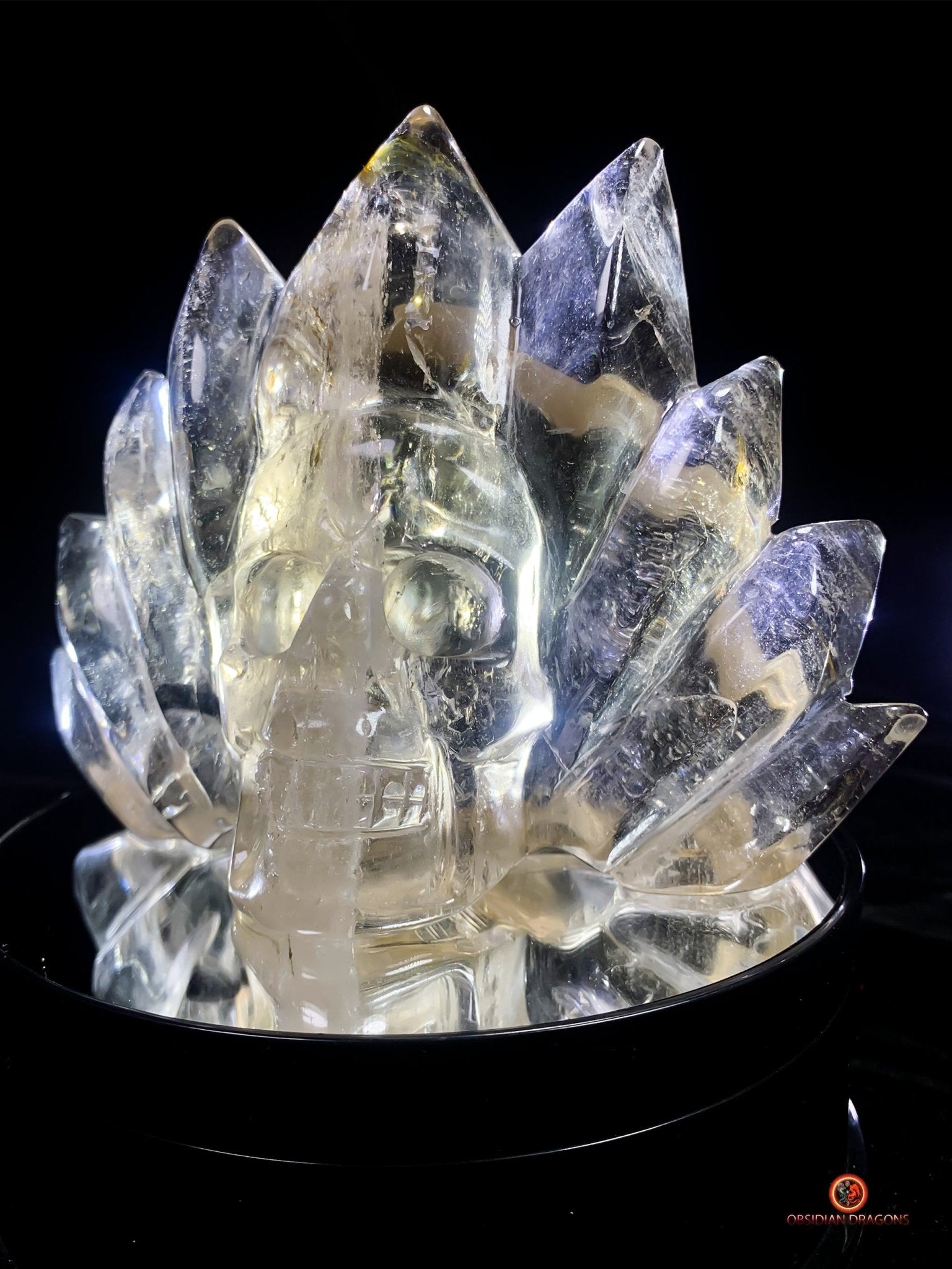 Crâne de Cristal Couronné - Cristal de Roche Naturel | obsidian dragons
