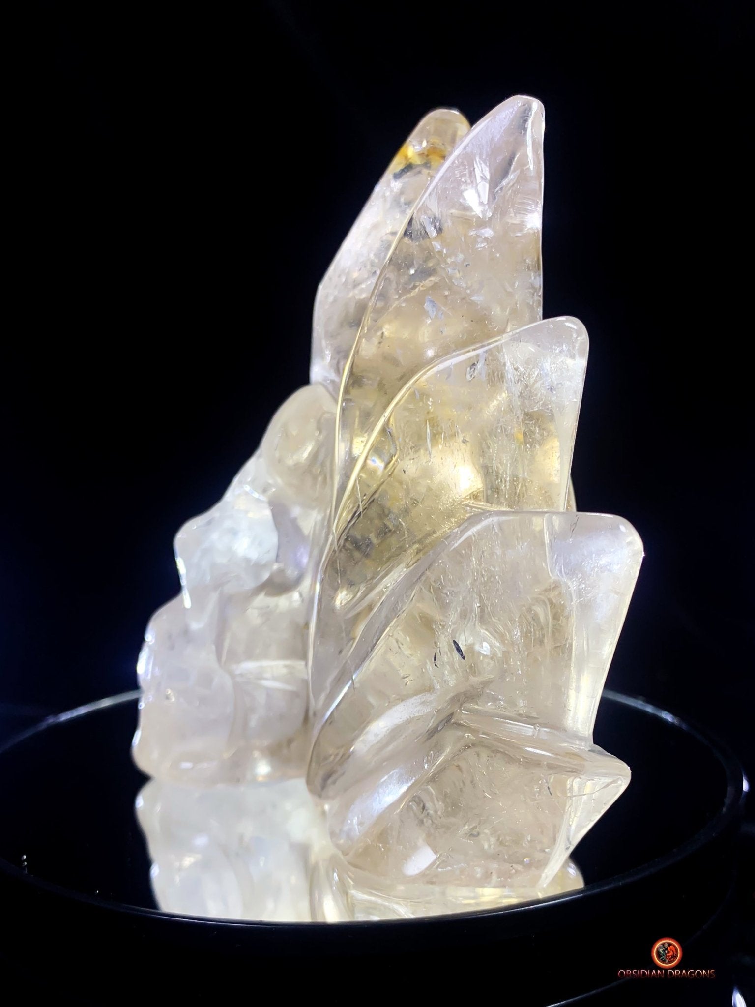 Crâne de Cristal Couronné - Cristal de Roche Naturel | obsidian dragons