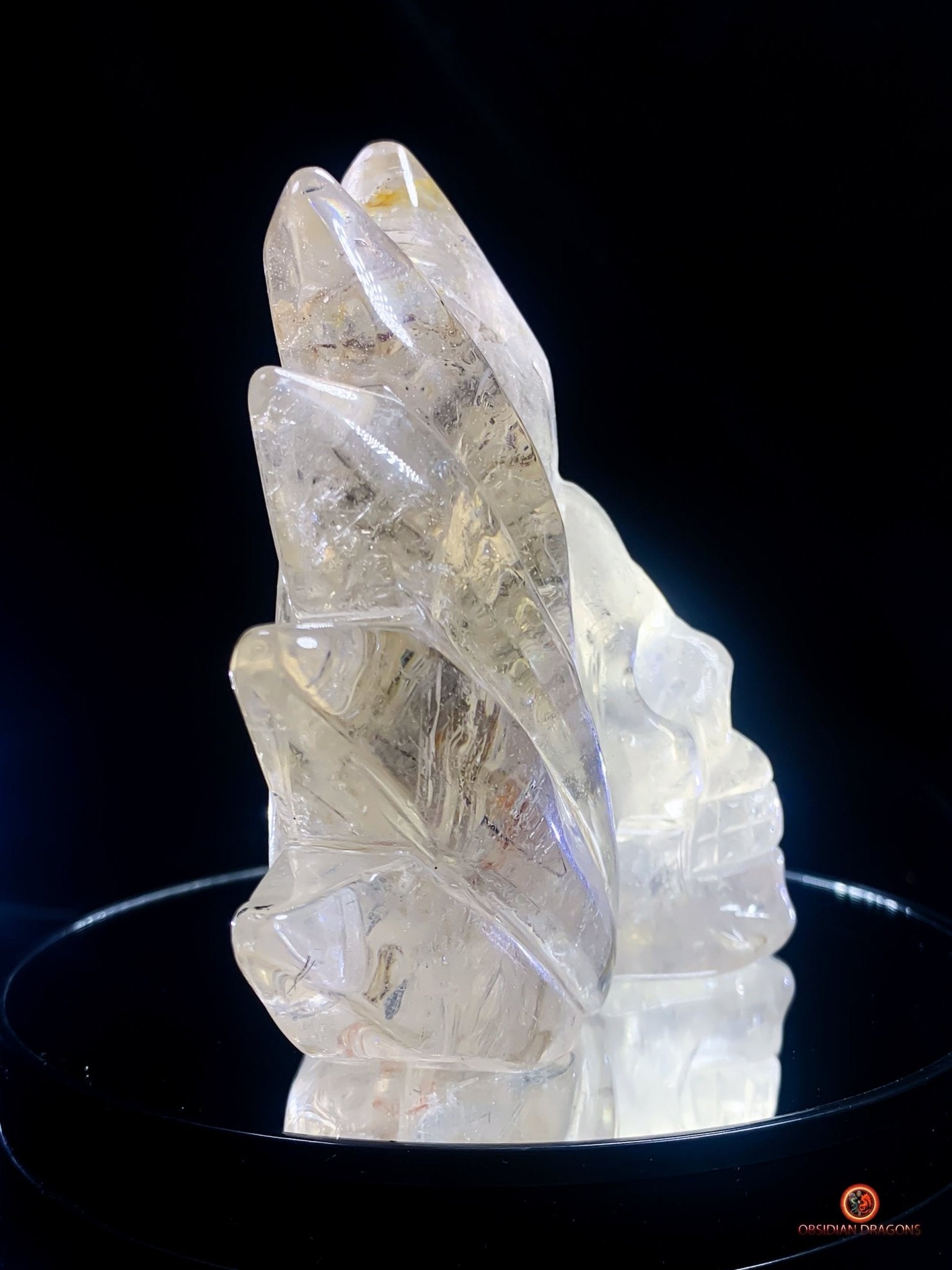 Crâne de Cristal Couronné - Cristal de Roche Naturel | obsidian dragons