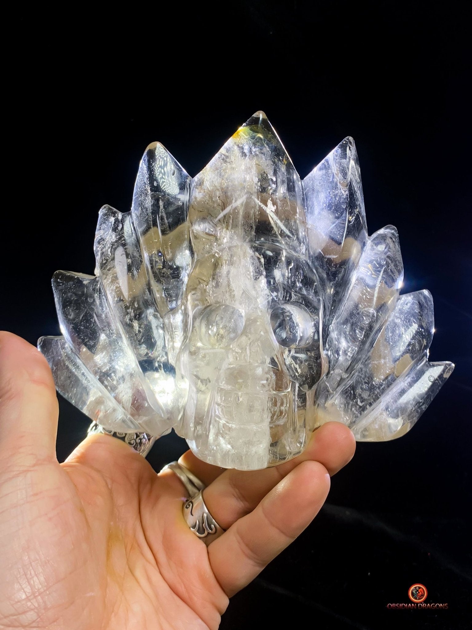 Crâne de Cristal Couronné - Cristal de Roche Naturel | obsidian dragons