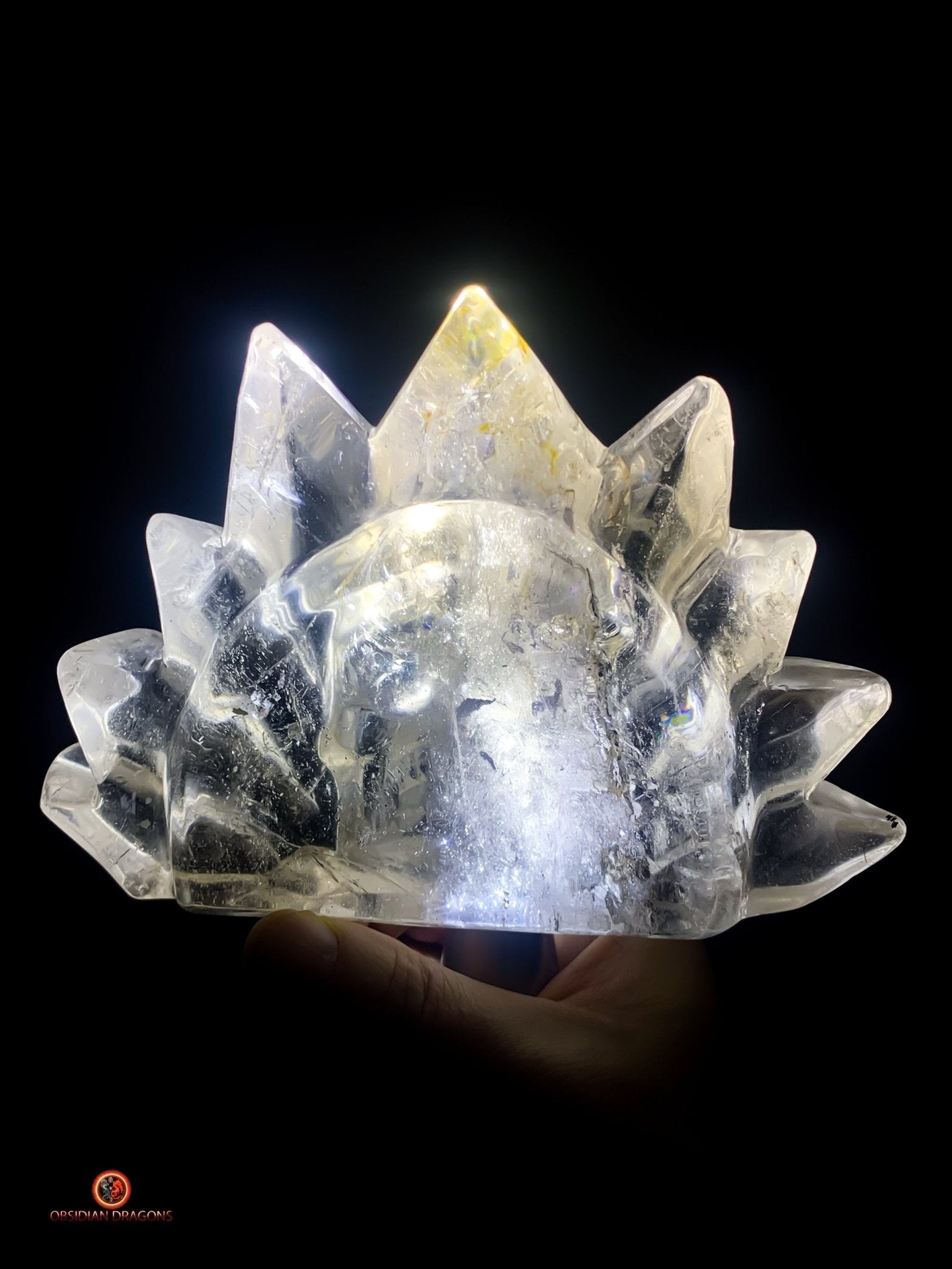Crâne de Cristal Couronné - Cristal de Roche Naturel | obsidian dragons