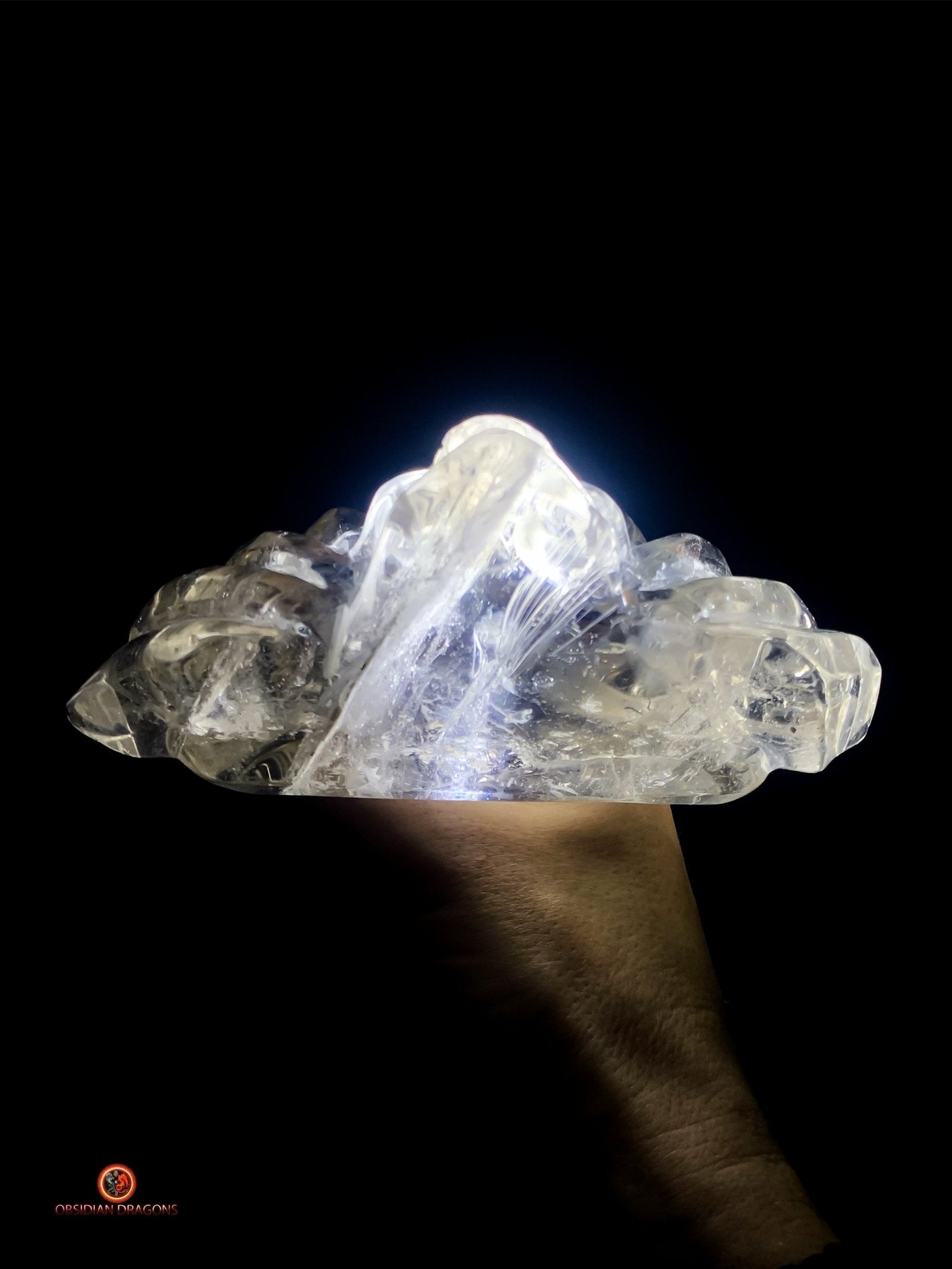 Crâne de Cristal Couronné - Cristal de Roche Naturel | obsidian dragons